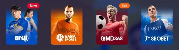 sport bk